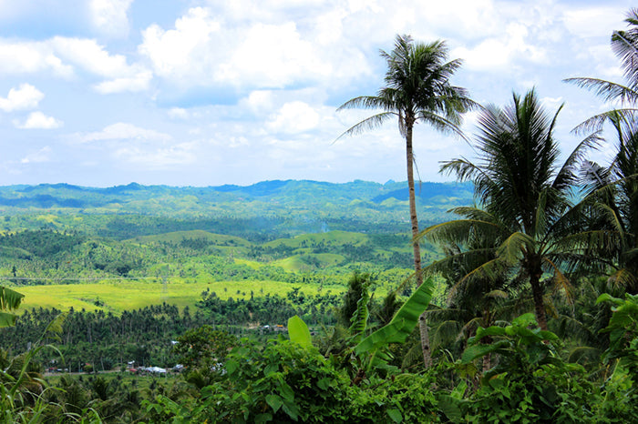 ココウェルの原点を訪ねて 第2回(全4回)