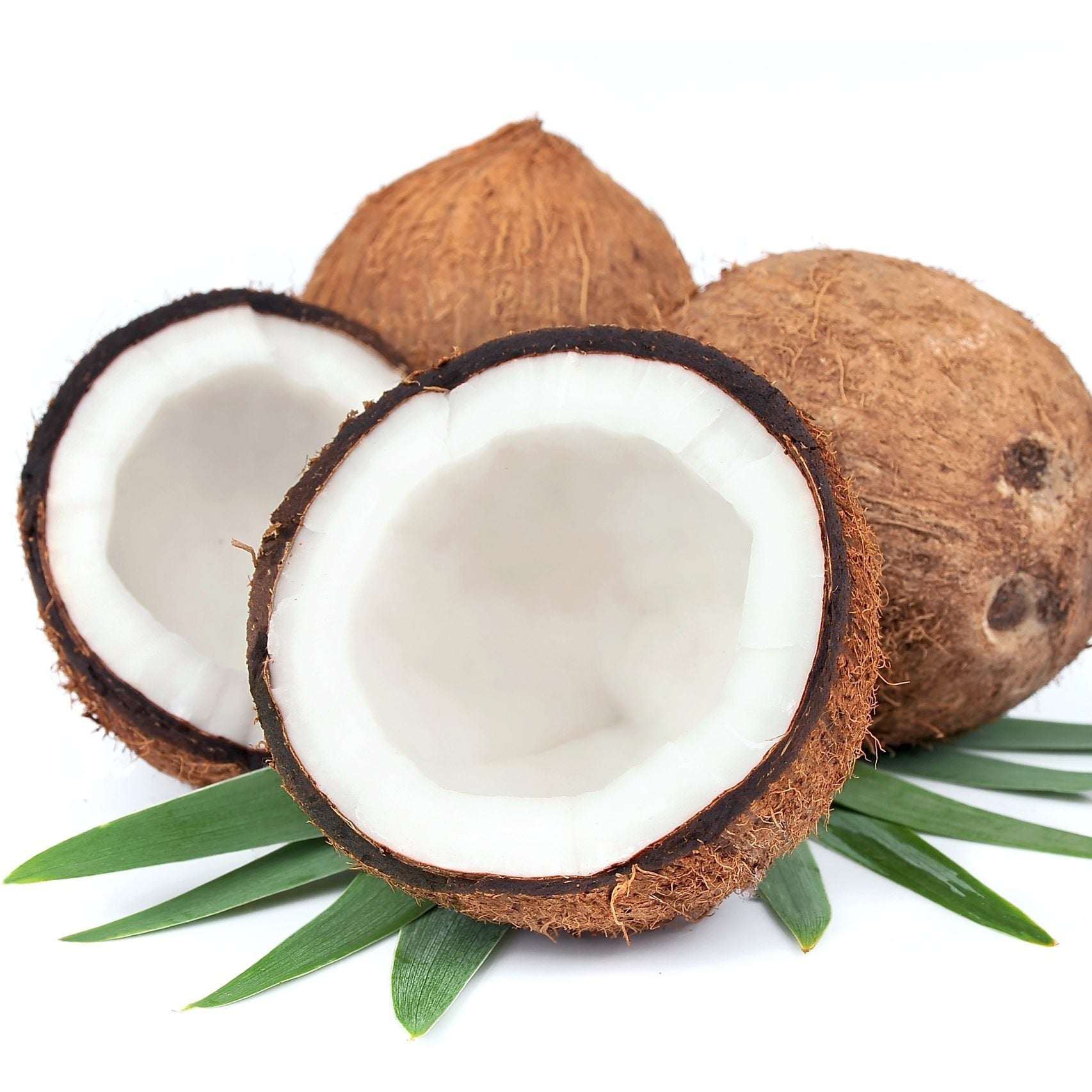 ローリングストックにもココナッツを!