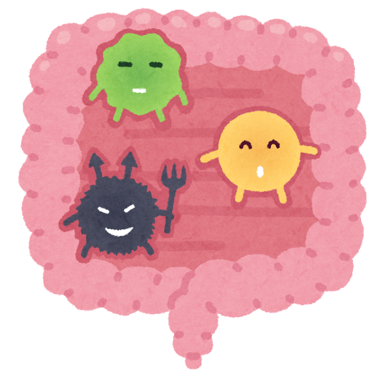 腸内フローラとココナッツ | 【公式】ココナッツ専門店ココウェル