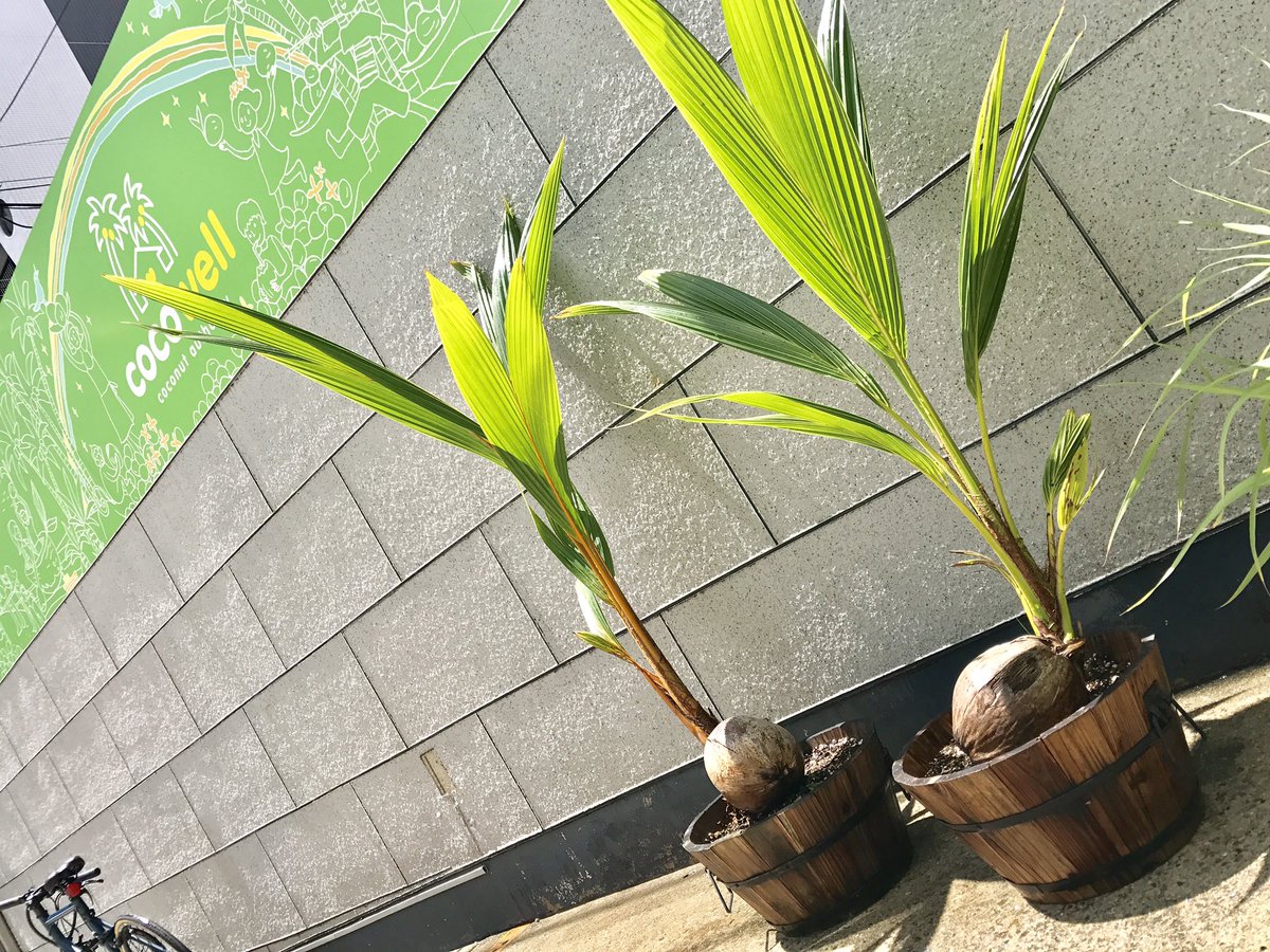 テレワークスタート。