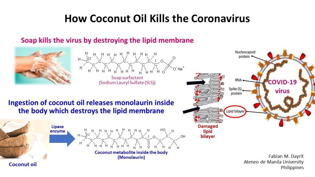 ココナッツオイルが石鹸のように作用する。