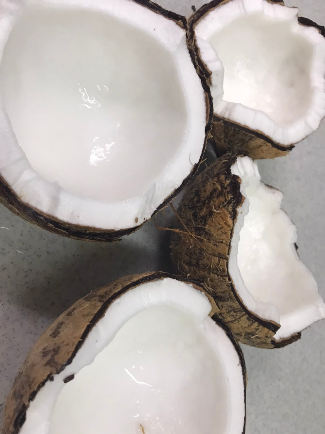 ココナッツ・バイオディーゼル。