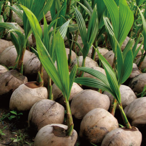 <第2回>ココウェル勉強会