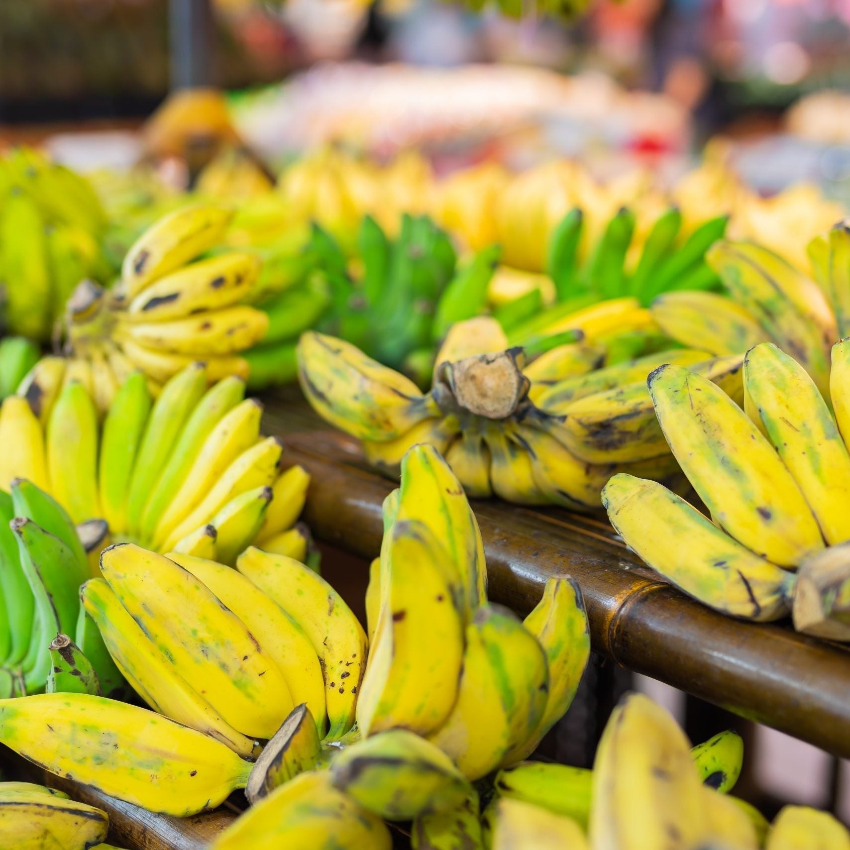 8月7日は「バナナの日」- バナナについて(その2)