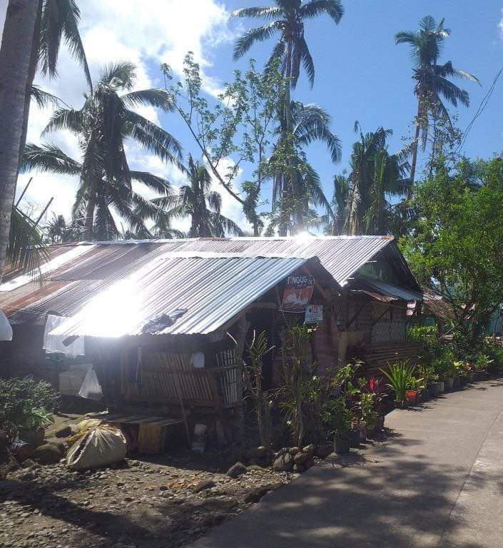 台風支援のご報告(南レイテ・リバゴン)