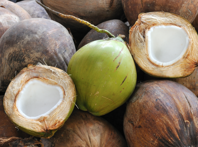 ココナッツオイルに環境ホルモンは含まれているの!? | 【公式】ココナッツ専門店ココウェル