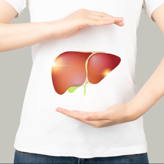 MCT(中鎖脂肪酸)が肝機能を保護する?! | 【公式】ココナッツ専門店ココウェル