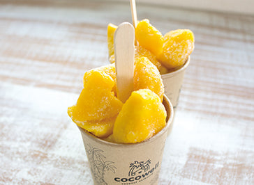 ココナッツミルクのマンゴーアイスのレシピ | 【公式】ココナッツ専門店ココウェル