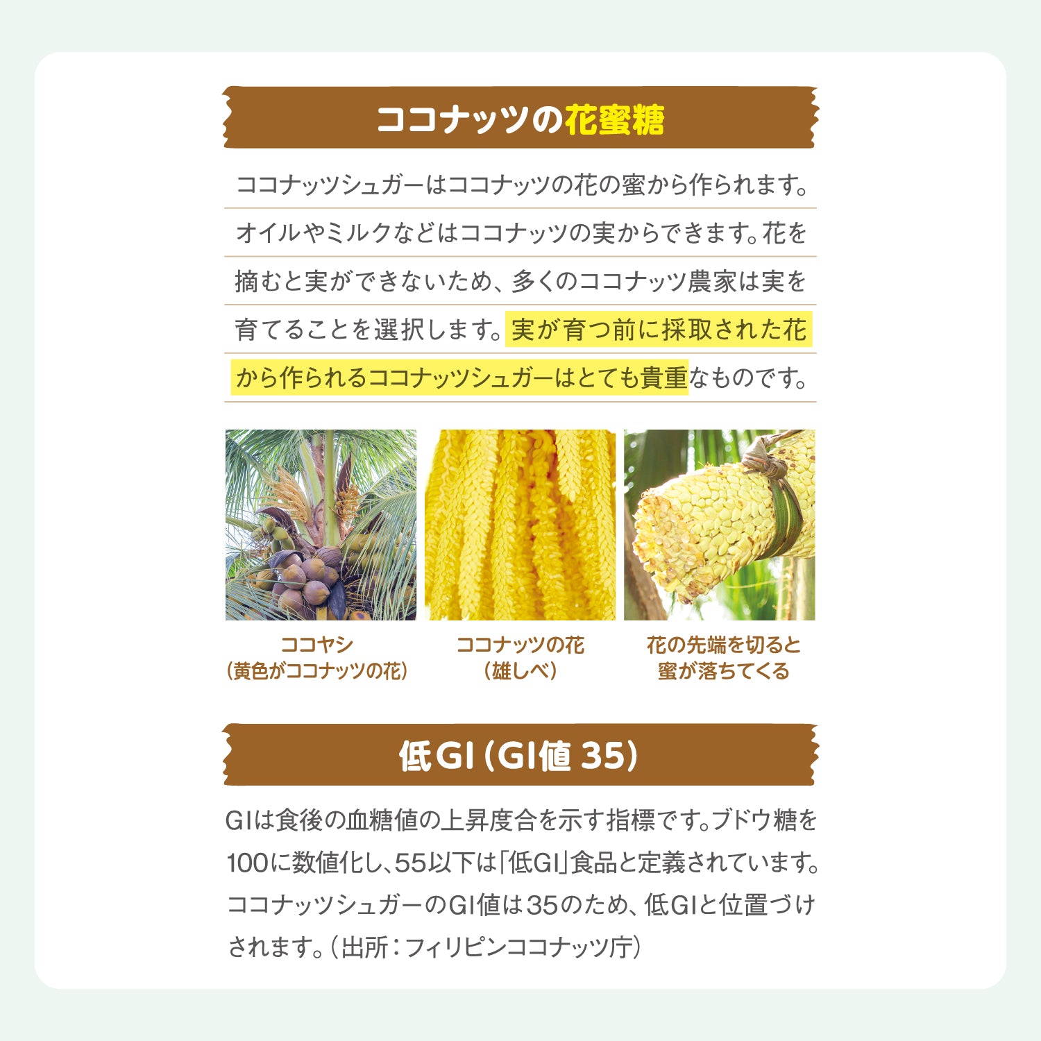 有機ココナッツシュガー