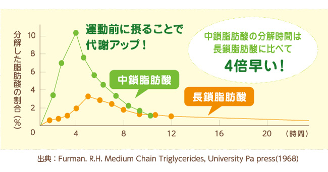 中鎖脂肪酸の消化経路
