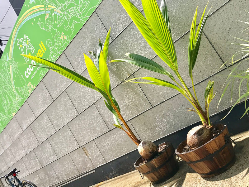 テレワークスタート。