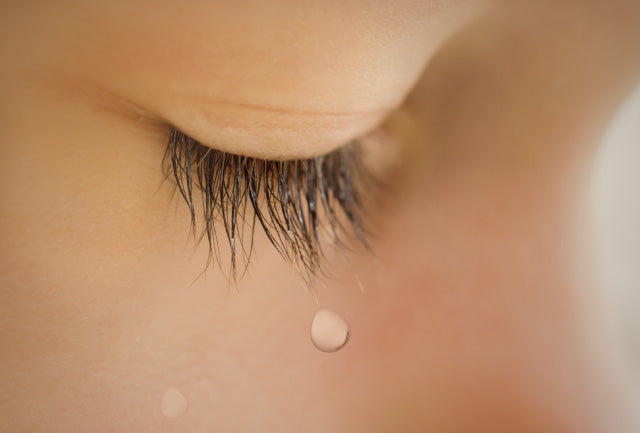 眼精疲労にもココナッツ！