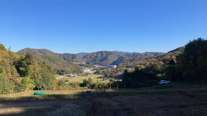 ココウェルファーム始動です♪