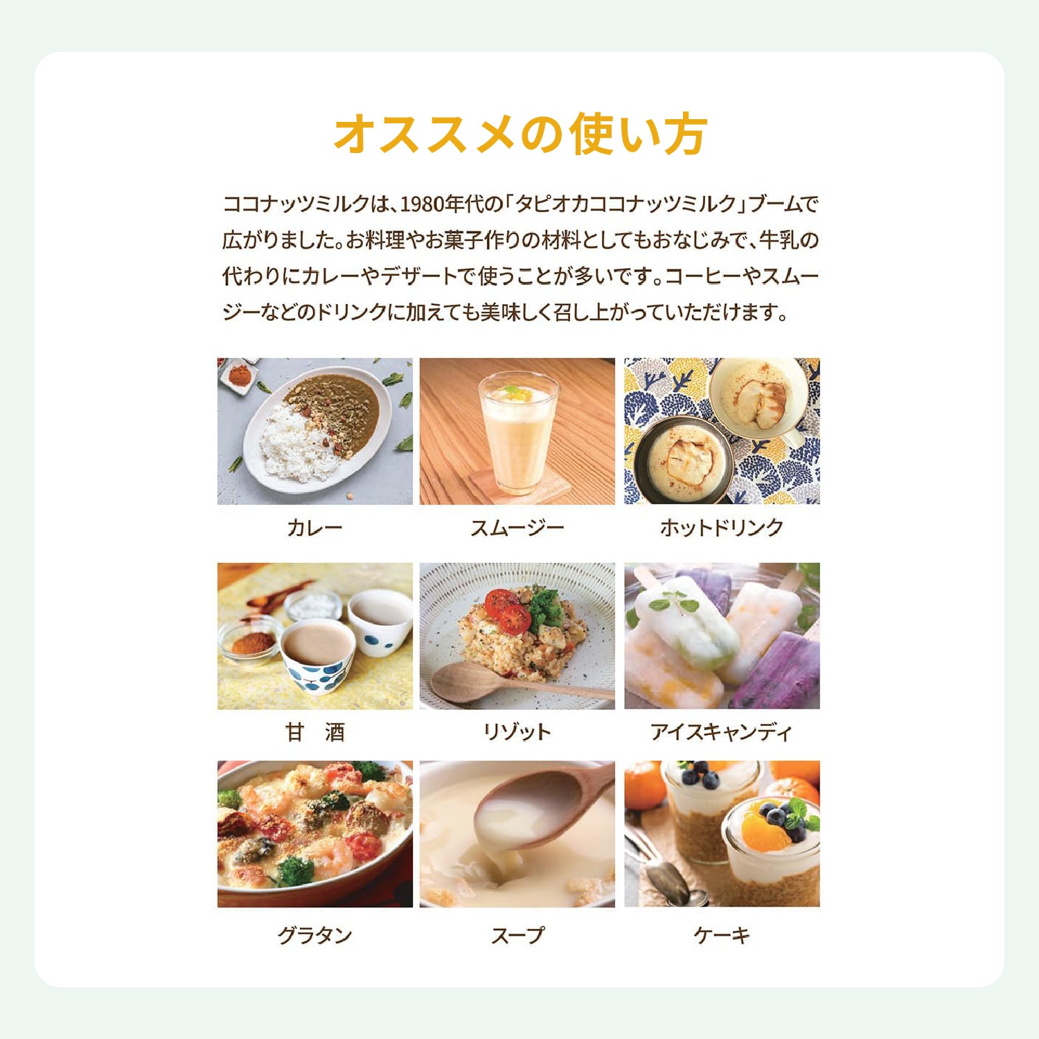 ココアイス(8種セット)｜プラントベース・有機素材使用のココナッツアイス