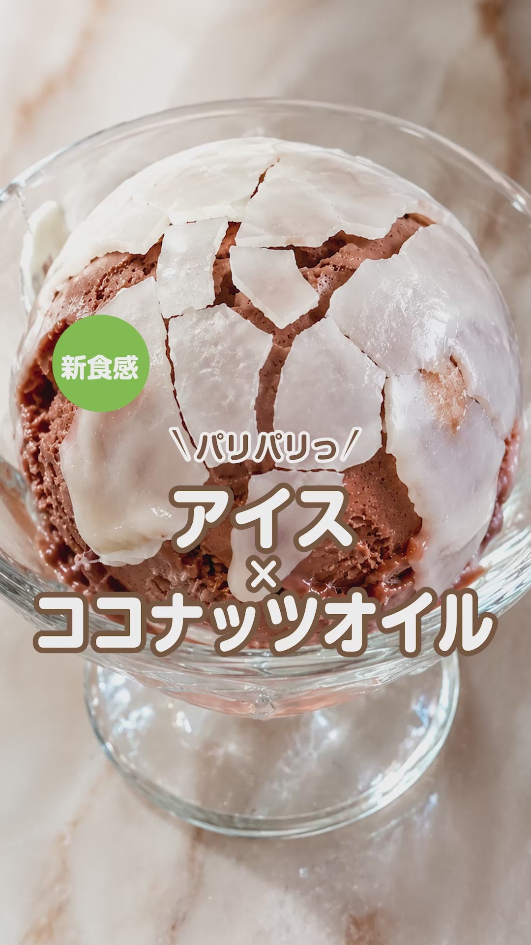 coco出品です ココアイス（ココカカオ×4個）｜プラントベース・有機素材使用の