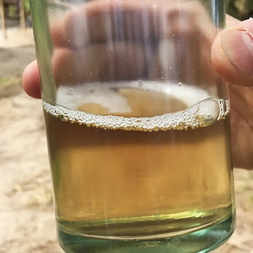 瓶に入った花蜜の画像