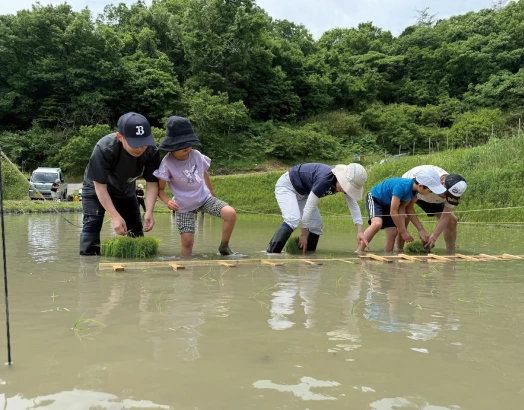 田植えをしている様子
