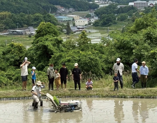機械で田植えをしている様子