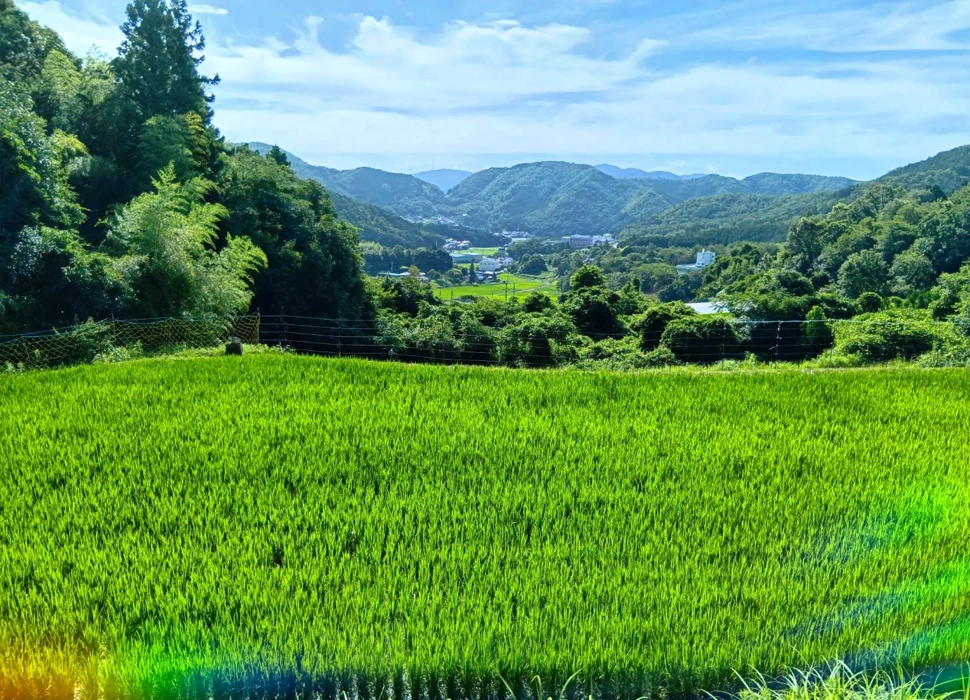 大阪府能勢町のココウェルファーム