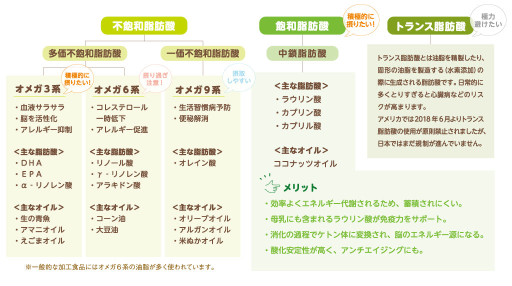 脂肪酸の種類の分類図