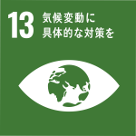 SDG 13 気候変動に具体的な対策を アイコン