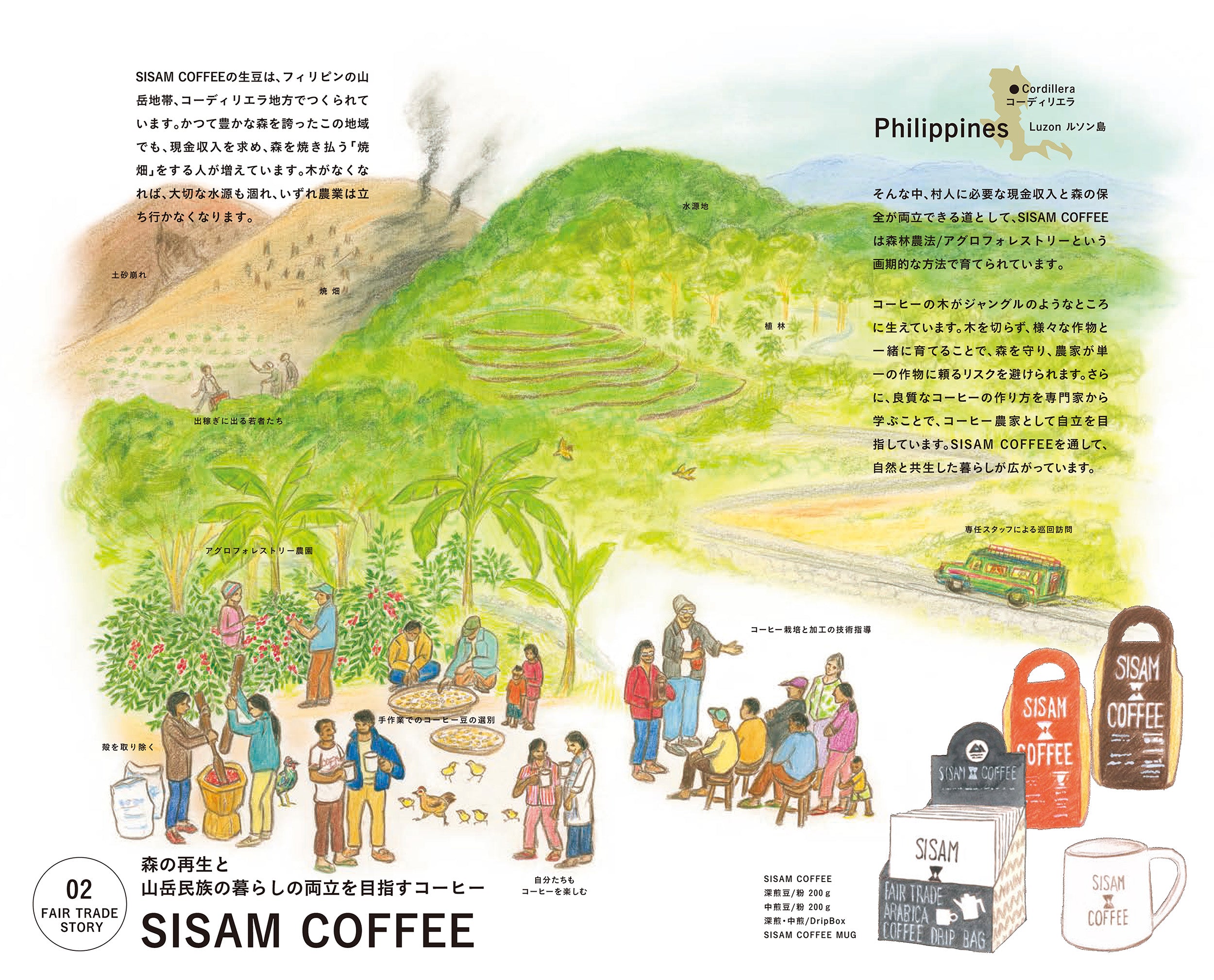コーディリエラのフェアトレードコーヒーの様子
