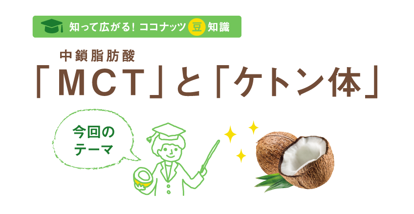 ケトン体とMCTの概要図