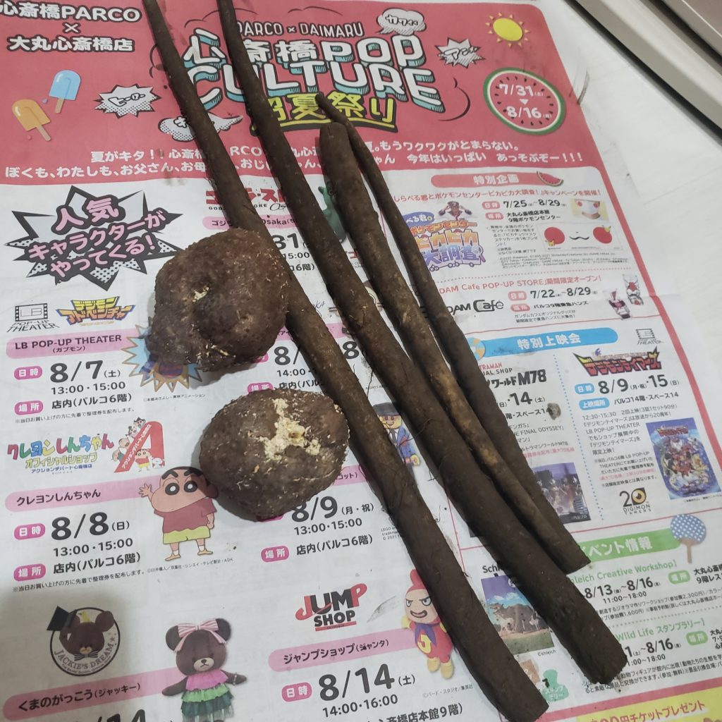 ゴボウと山の芋