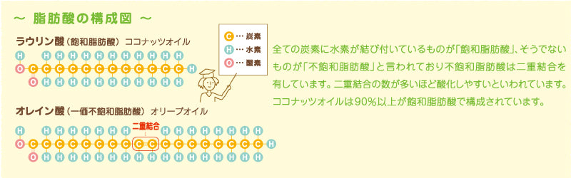飽和脂肪酸と不飽和脂肪酸の構造比較図