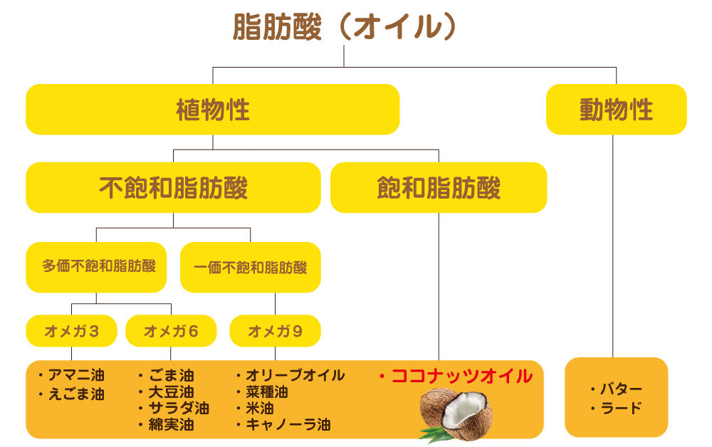 油の種類と分類の図表