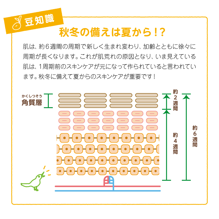 ラウリン酸の説明図
