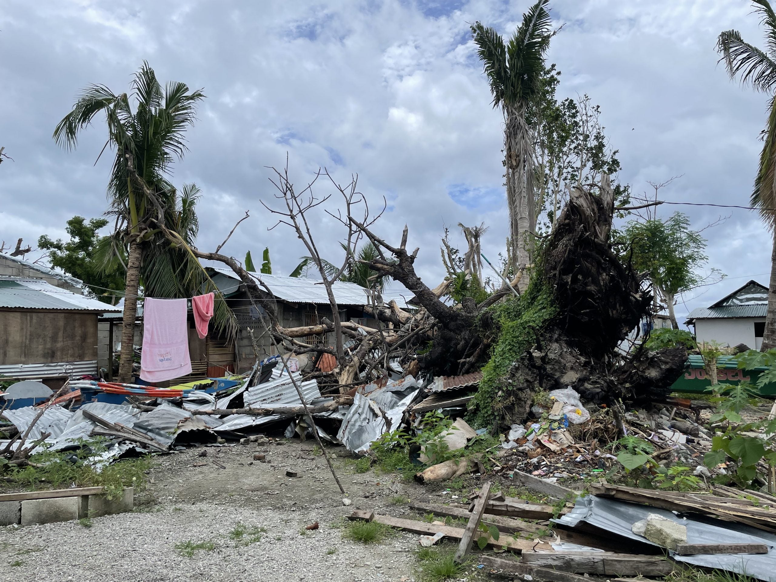 台風オデットの被害を受けた南レイテ・リマサワ島の様子