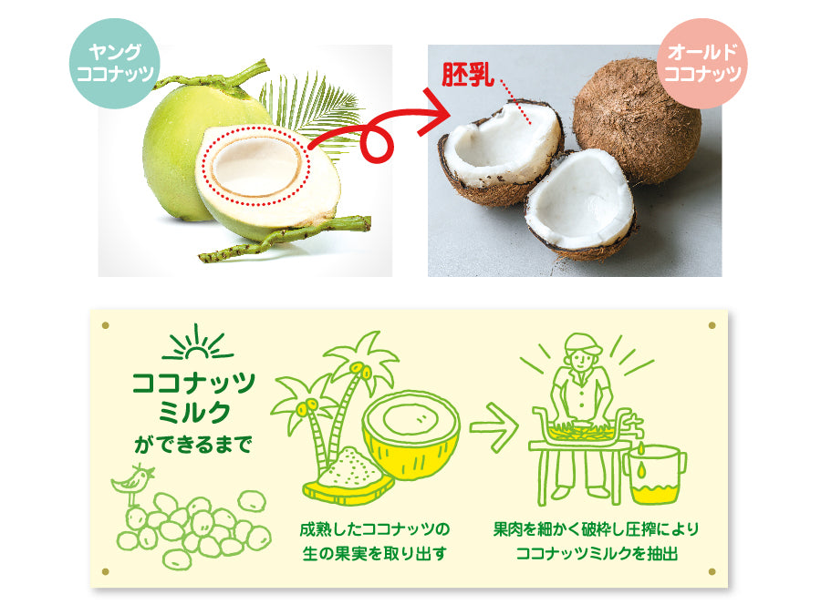 ココナッツの果肉とミルク