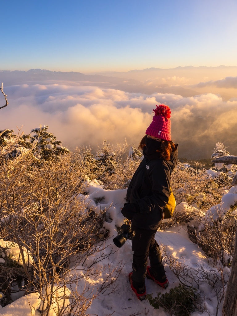 雪面に差し込む斜光と樹木の影