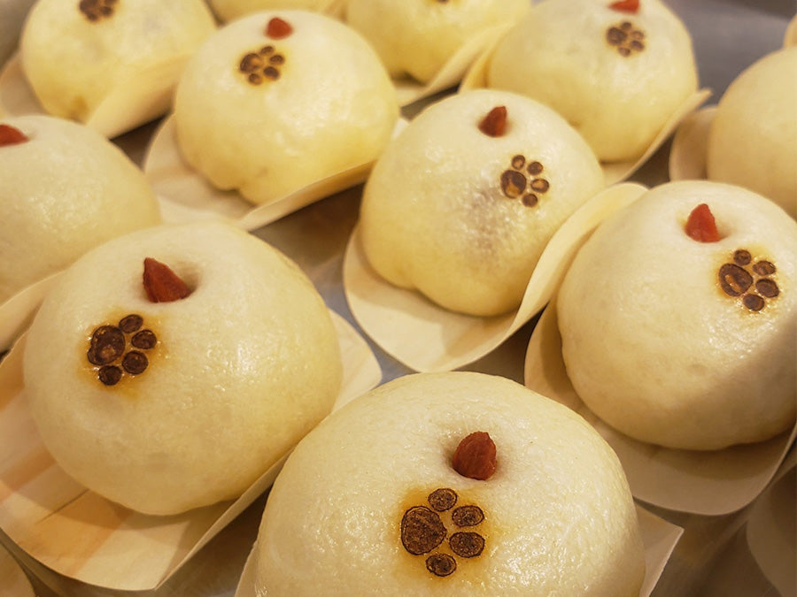 飼い主とわんこが過ごす店内の様子