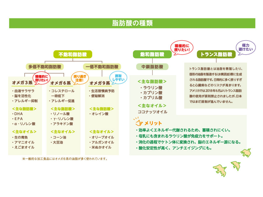 脂質が関わる体の部位の図解