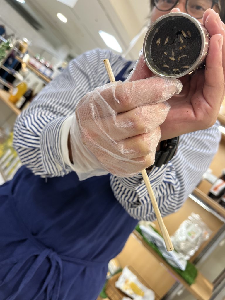 搾油後の油かす