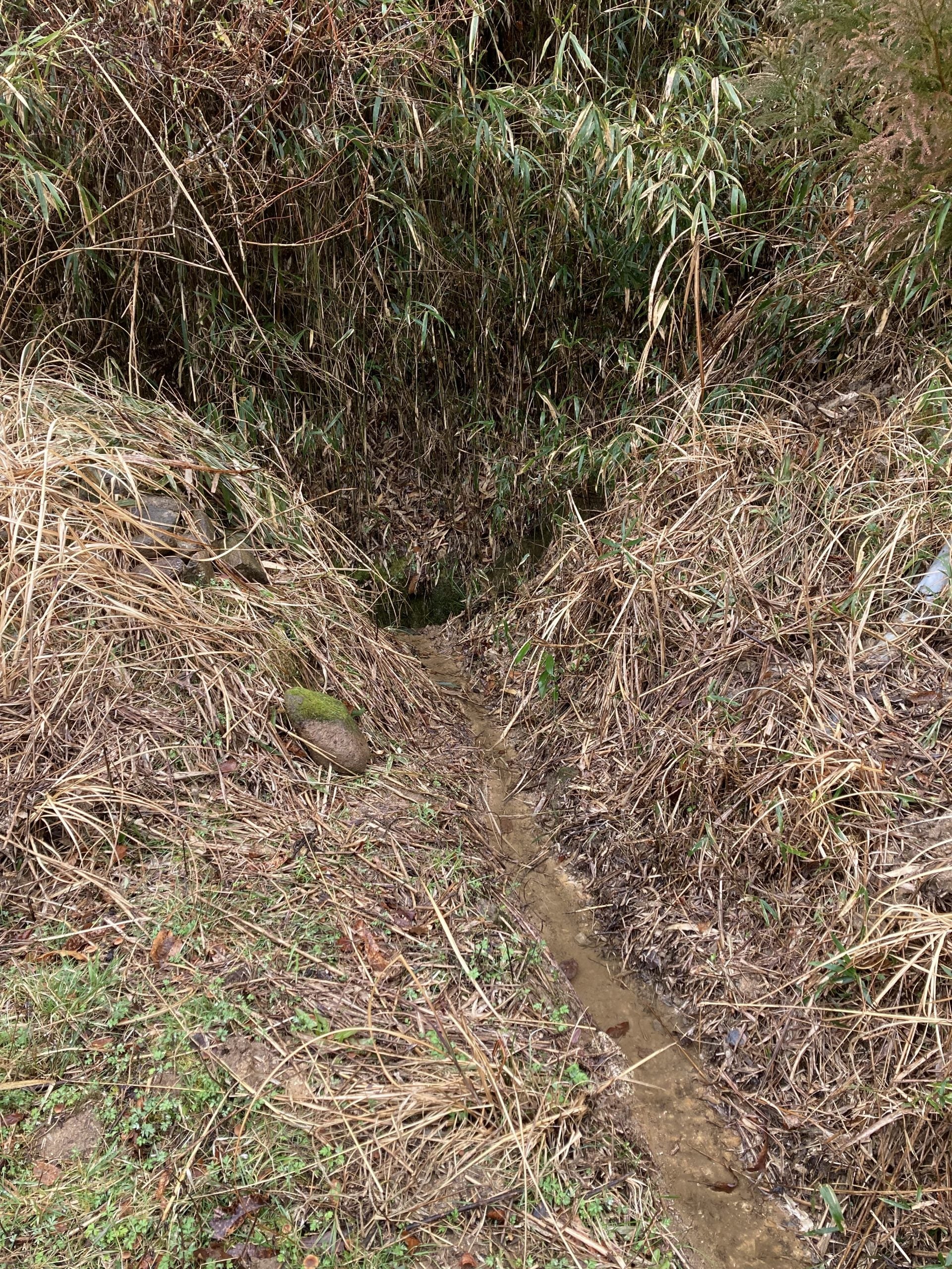 溝堀りの作業風景