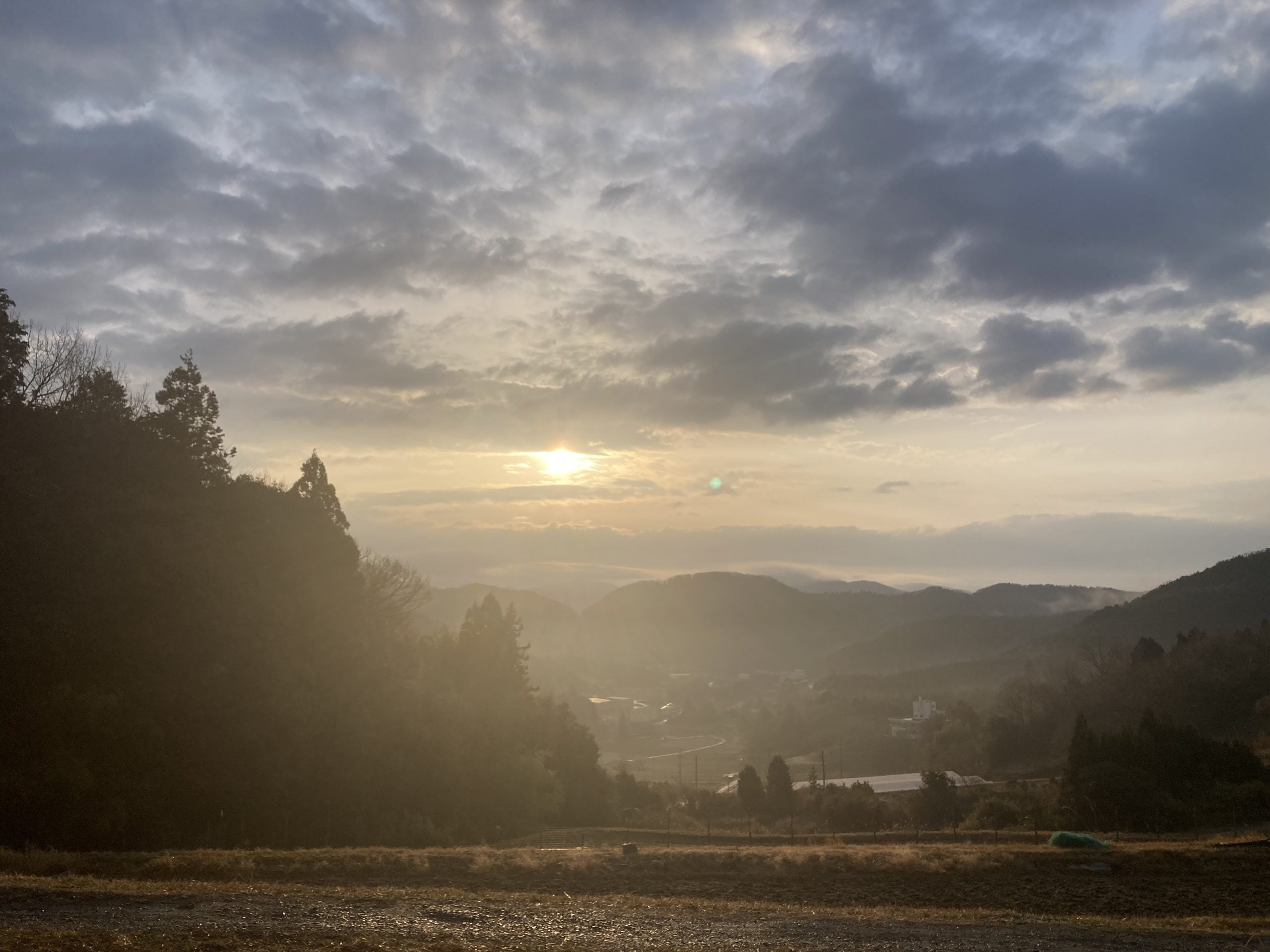 畑から眺める朝日