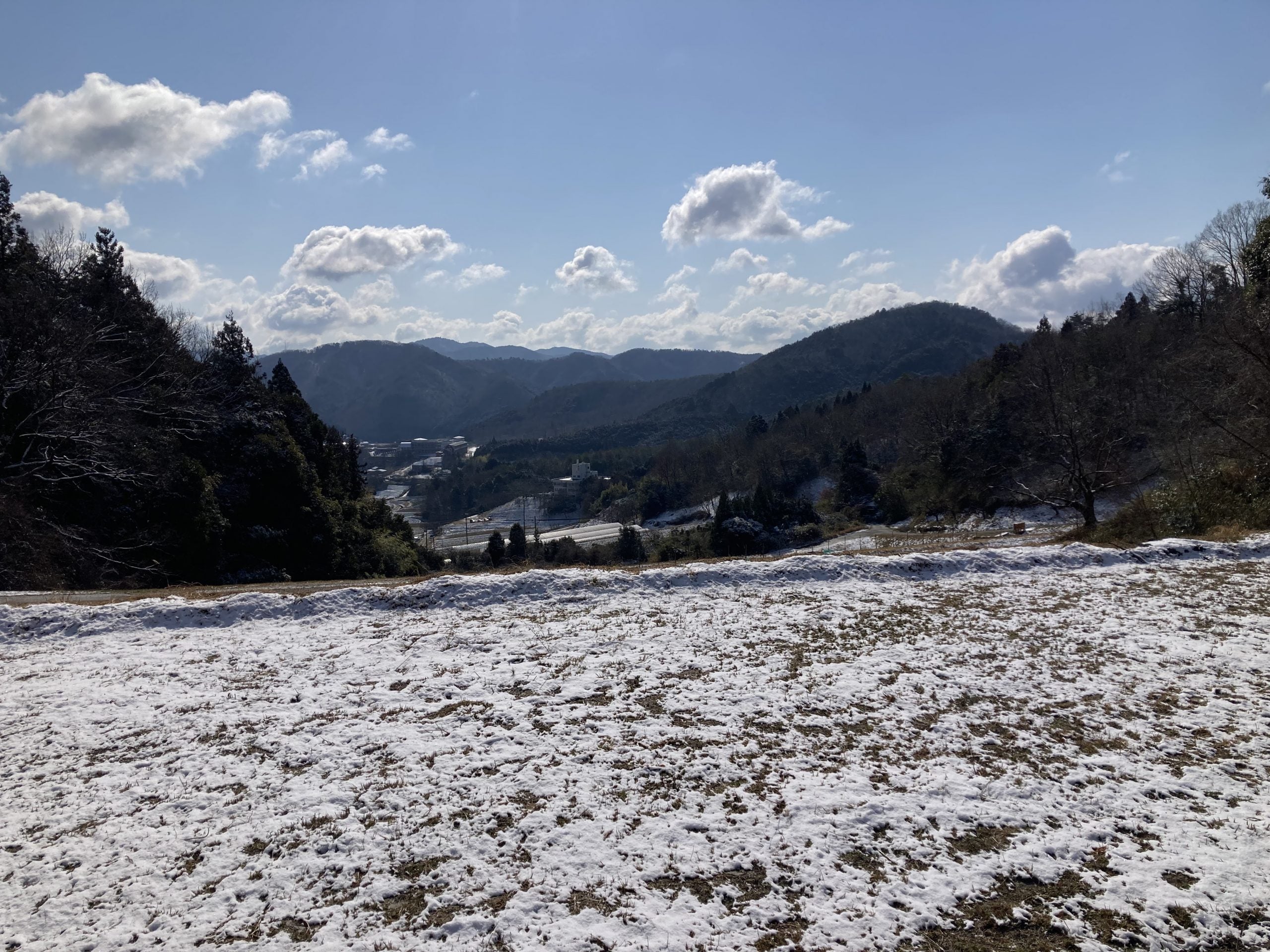 畑に積もる雪の様子