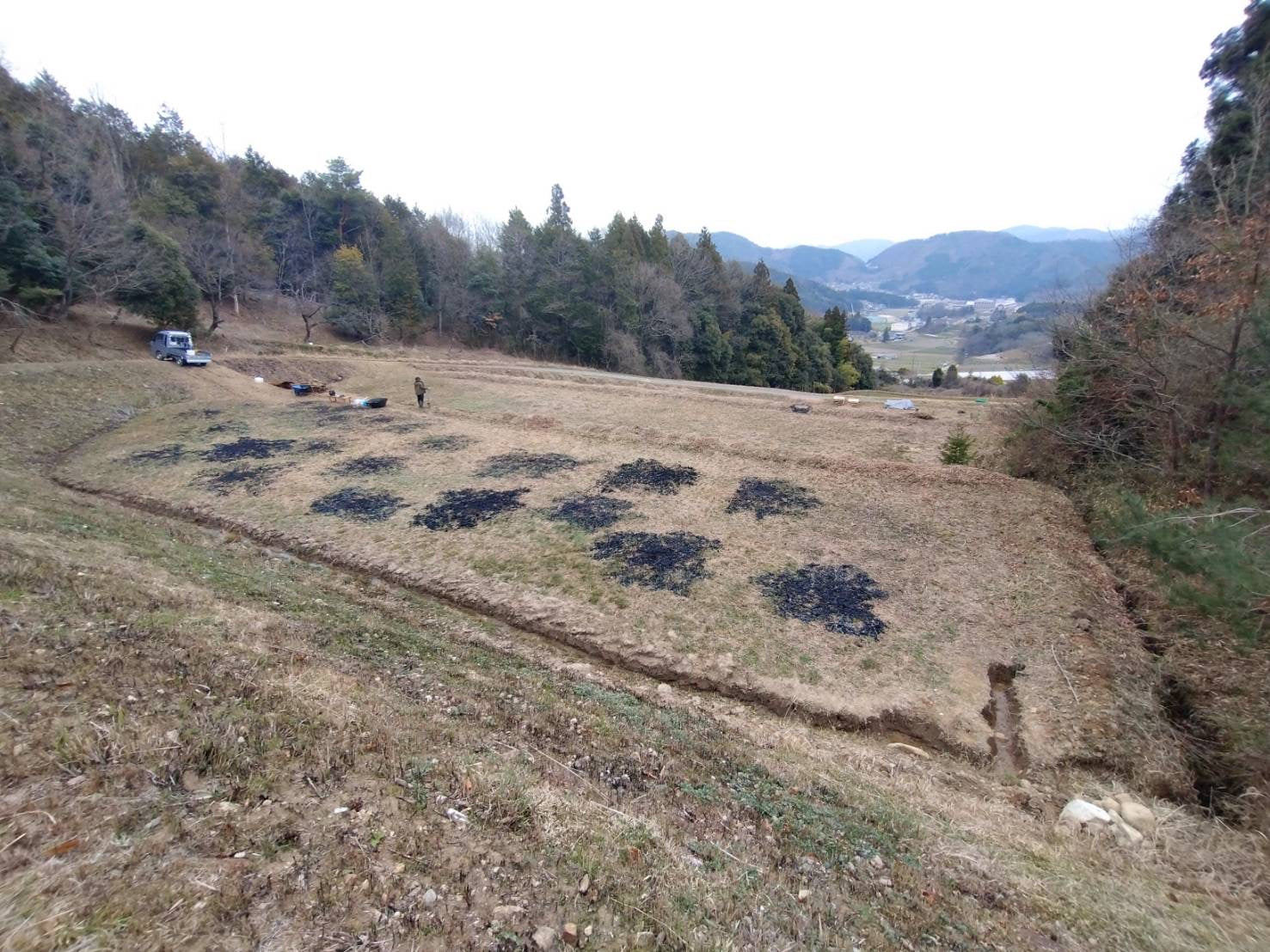 仕切り直し後の畑と道具の様子