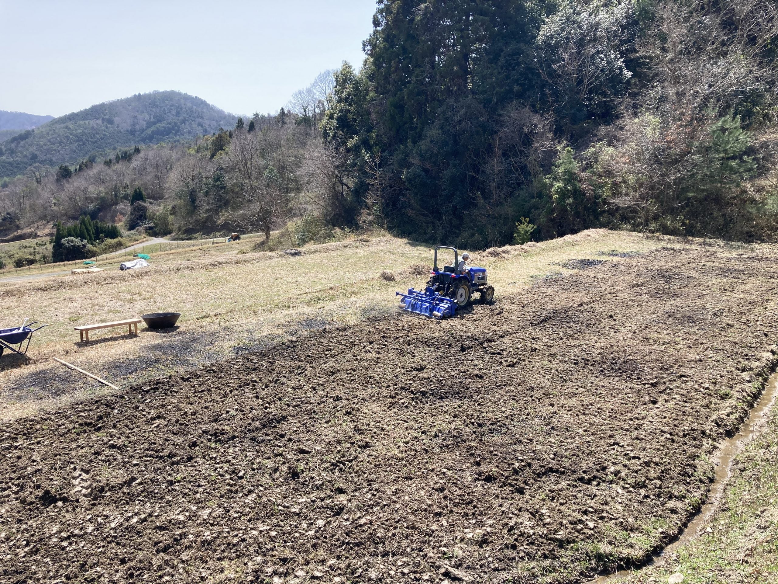 トラクターですき込まれる畑と掘り返される笹の根