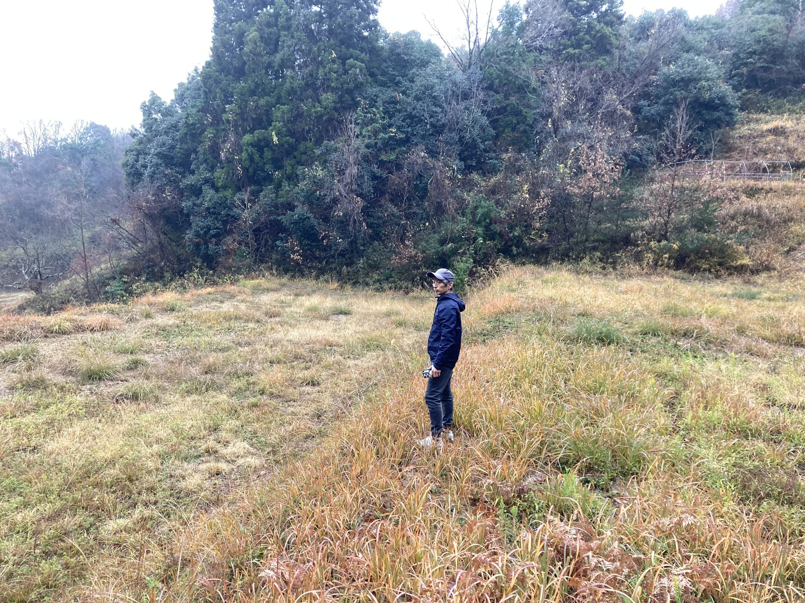 段々畑のココウェルファーム全景