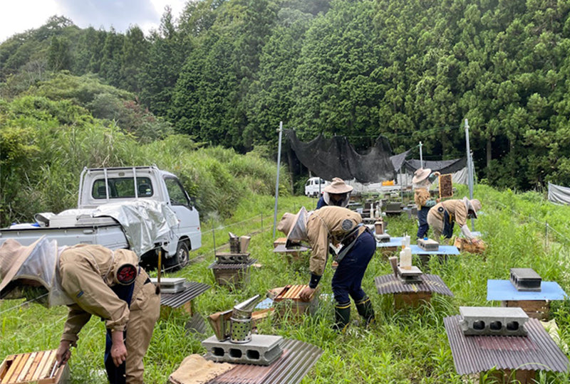 ミツバチと農作物の関係を示す写真