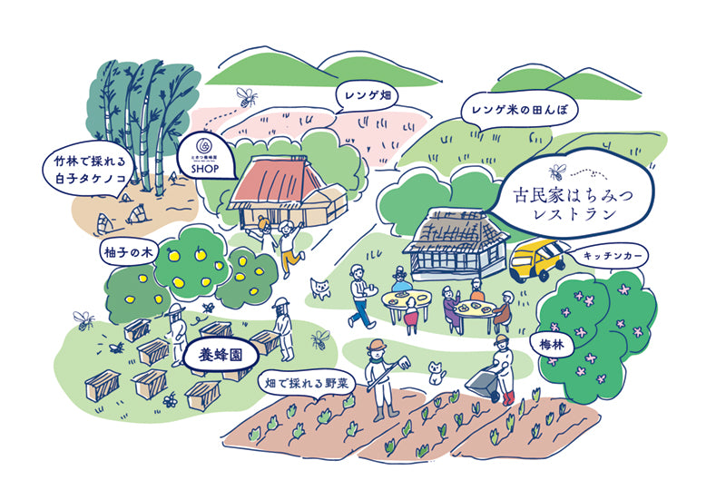 ココウェルファームの様子