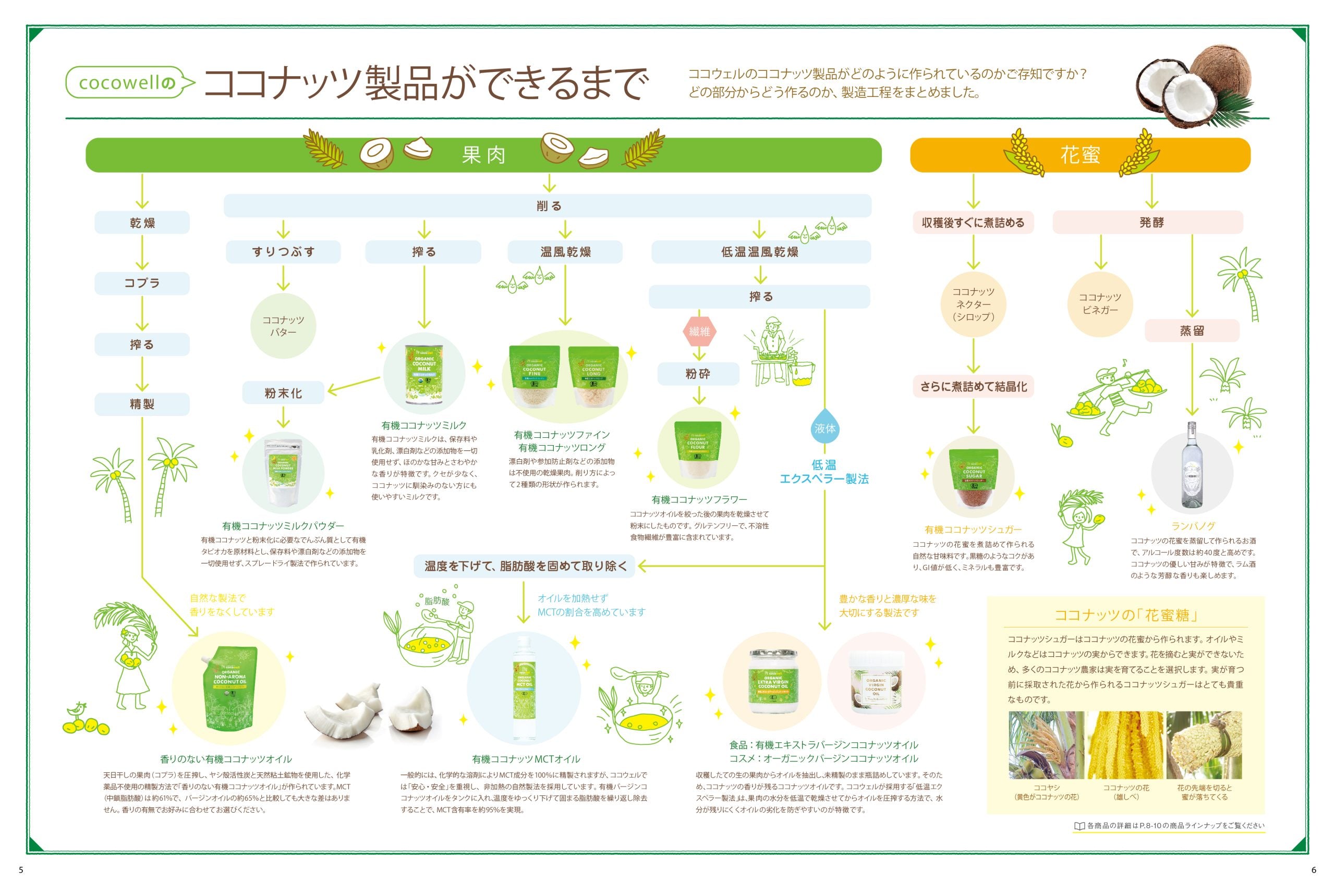 ココナッツ製品ができるまでのイメージ2