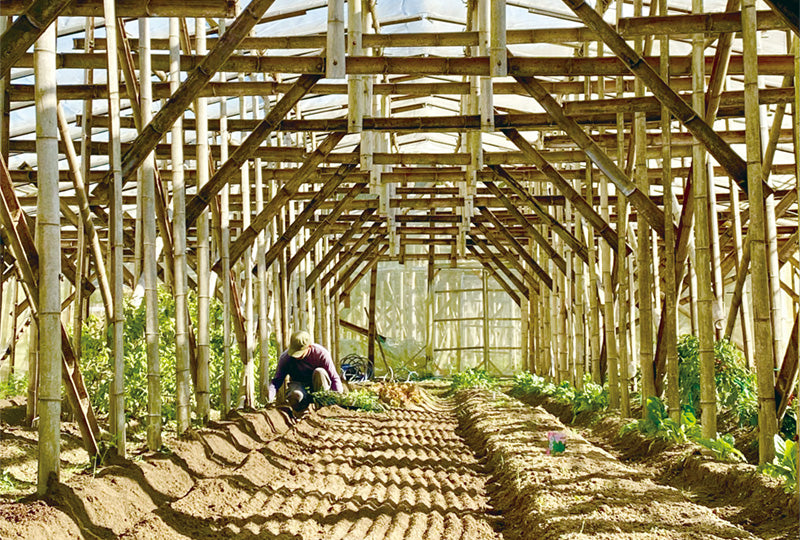 Agarato farm と地域連携の取り組み紹介