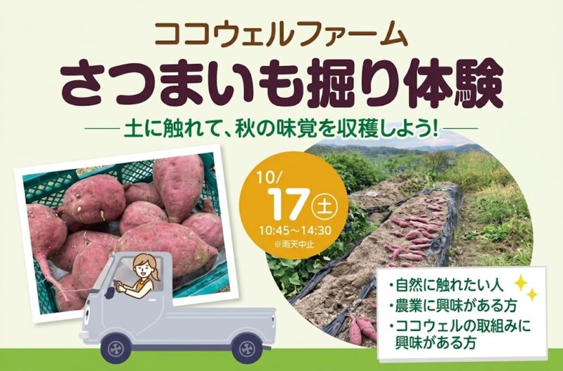 <ココウェルファーム> さつまいも堀りイベント開催!